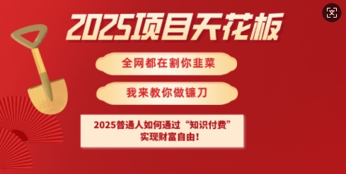 2025项目天花板普通人如何通过知识付费，实现财F自由【揭秘】-KF云创
