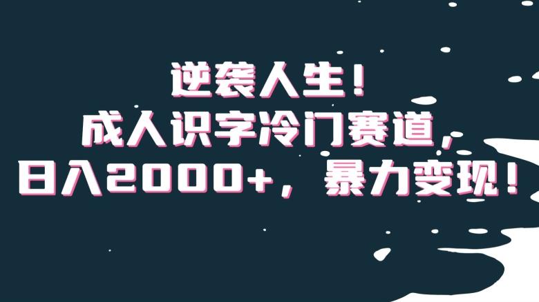 逆袭人生！成人识字冷门赛道，日入2000+，暴力变现！【揭秘】-KF云创
