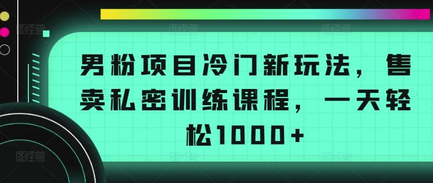 男粉项目冷门新玩法，售卖私密训练课程，一天轻松1000+【揭秘】-KF云创