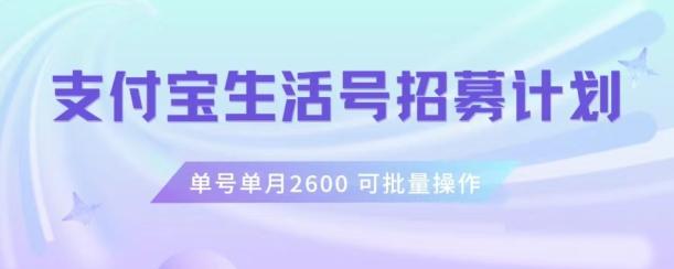 支付宝生活号作者招募计划，单号单月2600，可批量去做，工作室一人一个月轻松1w+【揭秘】-KF云创