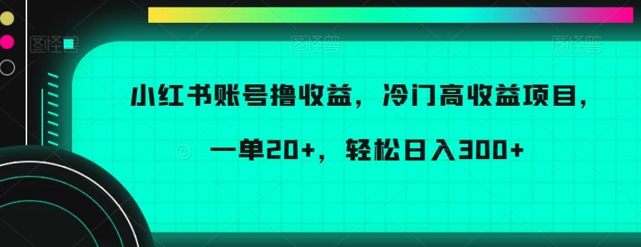 小红书账号撸收益，冷门高收益项目，一单20+，轻松日入300+【揭秘】-KF云创