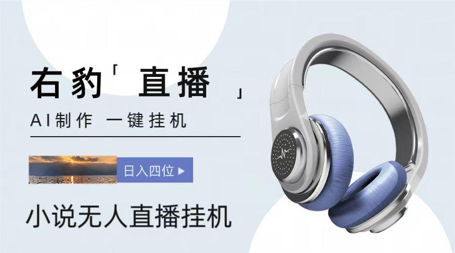 右豹小说无人直播挂机吸金项目，简单易行收益稳定， 月入1000+-KF云创