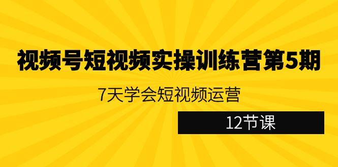 视频号短视频实操训练营第5期：7天学会短视频运营(12节课)-KF云创