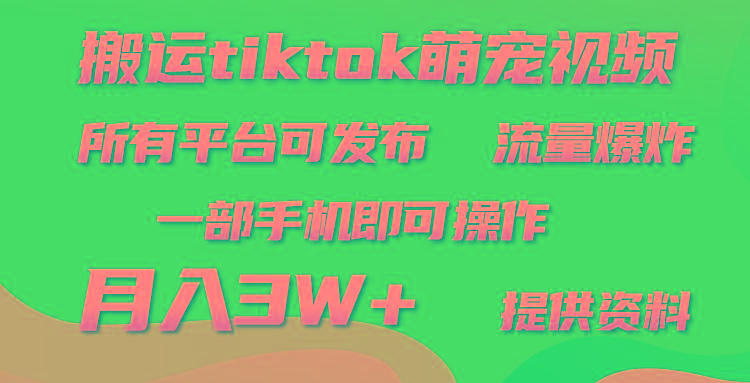 (9618期)搬运Tiktok萌宠类视频，一部手机即可。所有短视频平台均可操作，月入3W+-KF云创