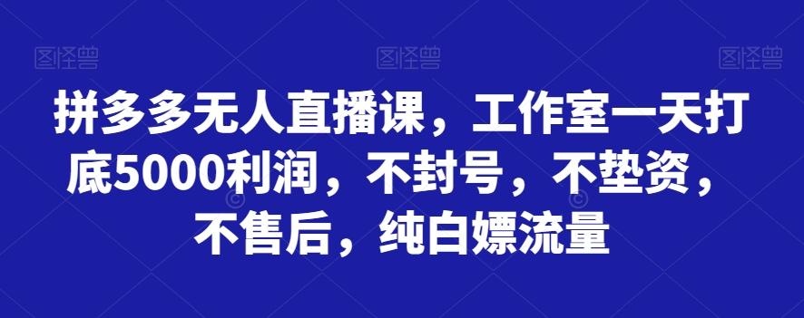 拼多多无人直播课，工作室一天打底5000利润，不封号，不垫资，不售后，纯白嫖流量-KF云创
