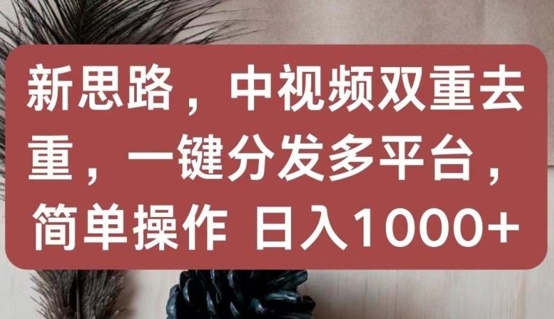 新思路，中视频双重去重，一键分发多平台，简单操作，日入1000+【揭秘】-KF云创