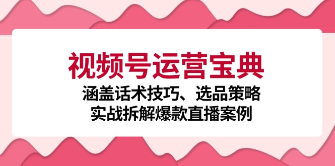 视频号运营宝典：涵盖话术技巧、选品策略、实战拆解爆款直播案例-KF云创