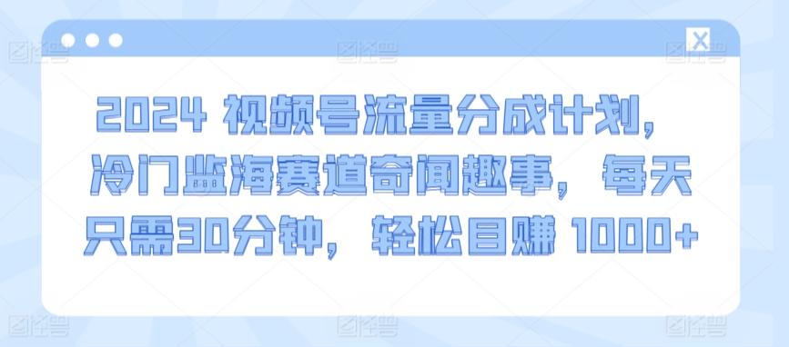 2024视频号流量分成计划，冷门监海赛道奇闻趣事，每天只需30分钟，轻松目赚 1000+【揭秘】-KF云创