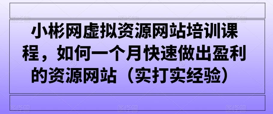 小彬网虚拟资源网站培训课程，如何一个月快速做出盈利的资源网站(实打实经验)-KF云创