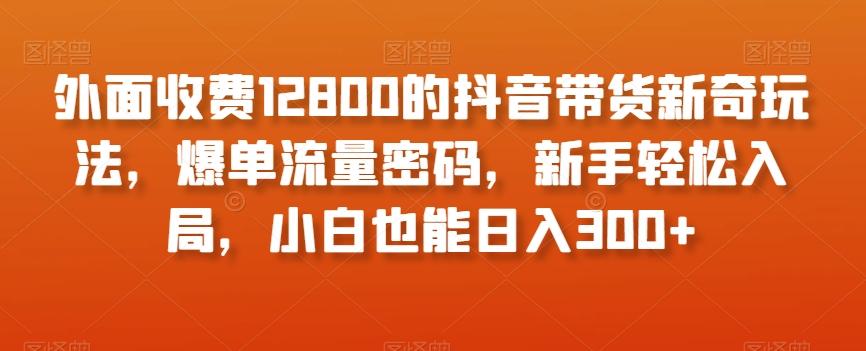 外面收费12800的抖音带货新奇玩法，爆单流量密码，新手轻松入局，小白也能日入300+【揭秘】-KF云创