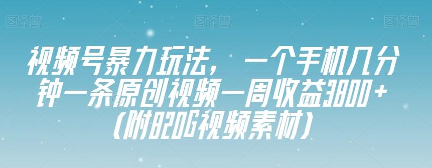 视频号暴力玩法，一个手机几分钟一条原创视频一周收益3800+（附820G视频素材）-KF云创