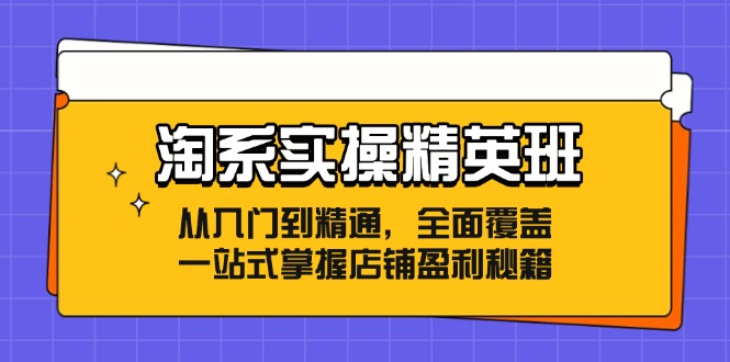 淘系实操精英班：从入门到精通，全面覆盖，一站式掌握店铺盈利秘籍-KF云创