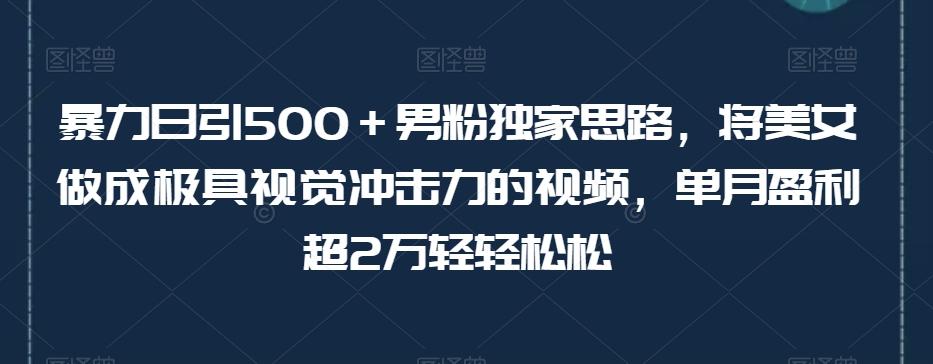 暴力日引500＋男粉独家思路，将美女做成极具视觉冲击力的视频，单月盈利超2万轻轻松松-KF云创