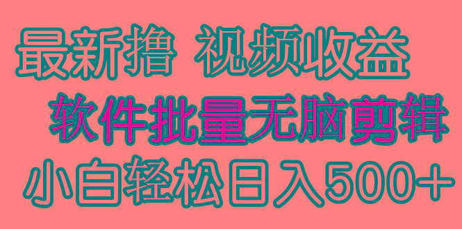 (9569期)发视频撸收益，软件无脑批量剪辑，第一天发第二天就有钱-KF云创
