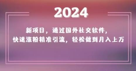 2024新项目，通过国外社交软件，快速涨粉精准引流，轻松做到月入上万【揭秘】-KF云创