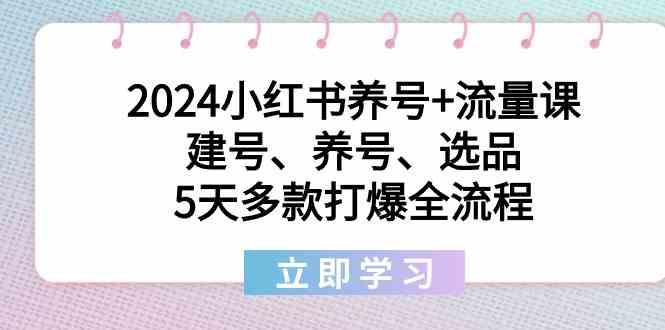 2024小红书养号+流量课：建号、养号、选品，5天多款打爆全流程-KF云创
