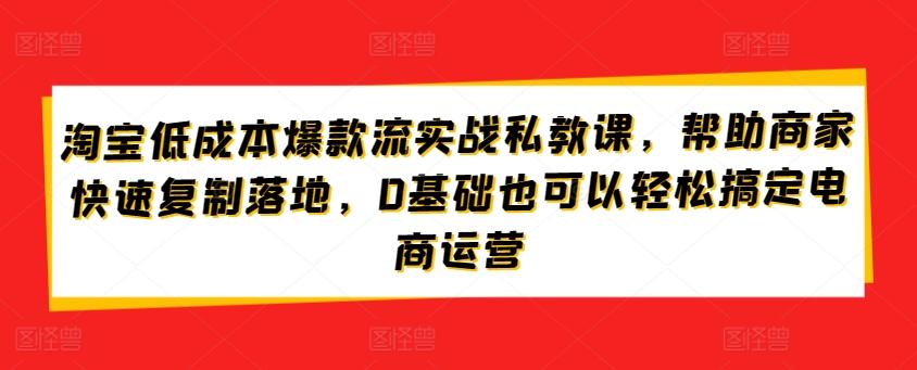 淘宝低成本爆款流实战私教课，帮助商家快速复制落地，0基础也可以轻松搞定电商运营-KF云创