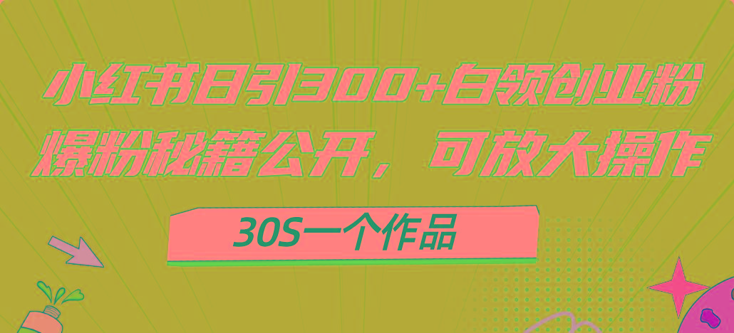 小红书日引300+高质白领创业粉，可放大操作，爆粉秘籍！30s一个作品-KF云创