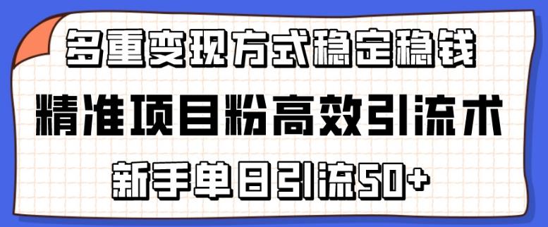 精准项目粉高效引流术，新手单日引流50+，多重变现方式稳定赚钱【揭秘】-KF云创