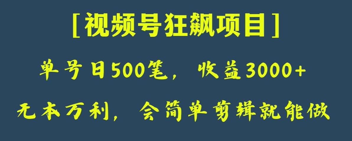 日收款500笔，纯利润3000+，视频号狂飙项目，会简单剪辑就能做【揭秘】-KF云创