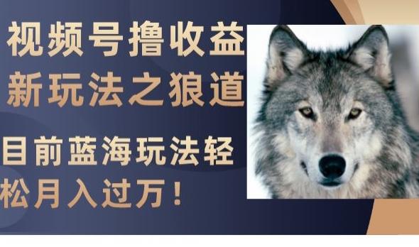 视频号撸收益新玩法之狼道，目前蓝海玩法，轻松月入过万【揭秘】-KF云创