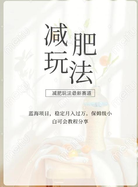 减肥流量主新玩法，轻松月入1W，可矩阵操作收入翻倍-KF云创