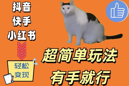 超简单玩法，有手就行，靠猫咪视频日入500+【揭秘】-KF云创