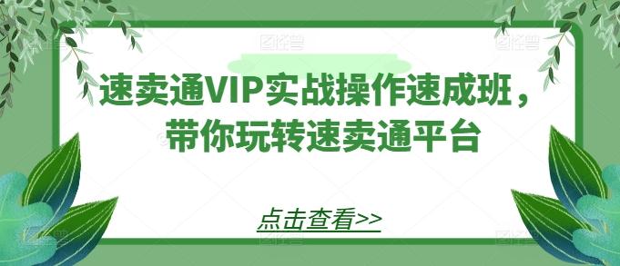 速卖通VIP实战操作速成班，带你玩转速卖通平台-KF云创