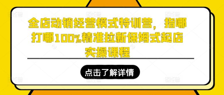 全店动销经营模式特训营，指哪打哪100%精准拉新保姆式起店实操课程-KF云创