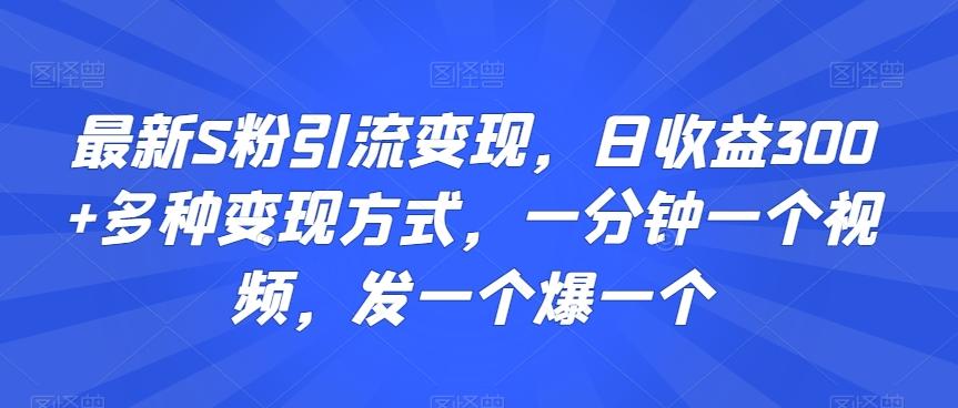 最新S粉引流变现，日收益300+多种变现方式，一分钟一个视频，发一个爆一个【揭秘】-KF云创