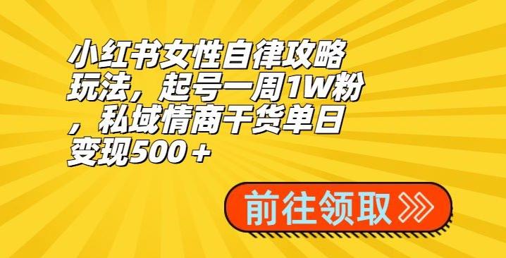 小红书女性自律攻略玩法，起号一周1W粉，私域情商干货单日变现500＋-KF云创