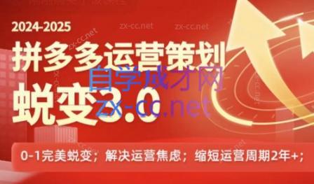 大力老师·2024拼多多运营策略蜕变3.0-KF云创