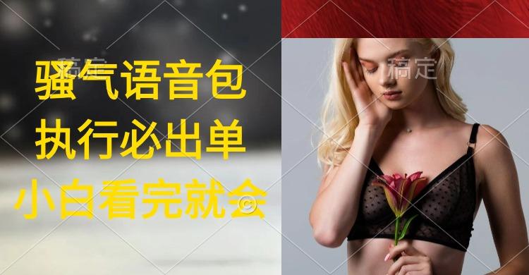 (9589期)执行就出单，日入2000+，超火骚气语音包，小白看完课程就能马上实操-KF云创