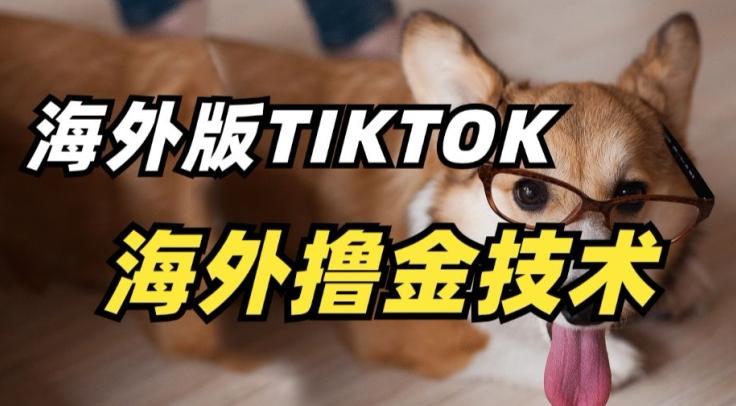 抖音海外版tiktok撸金技术，这个风口行业，赚钱真的不难【揭秘】-KF云创