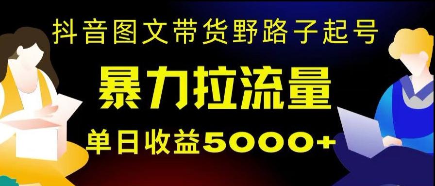 抖音图文带货暴力起号，单日收益5000+，野路子玩法，简单易上手，一部手机即可【揭秘】-KF云创