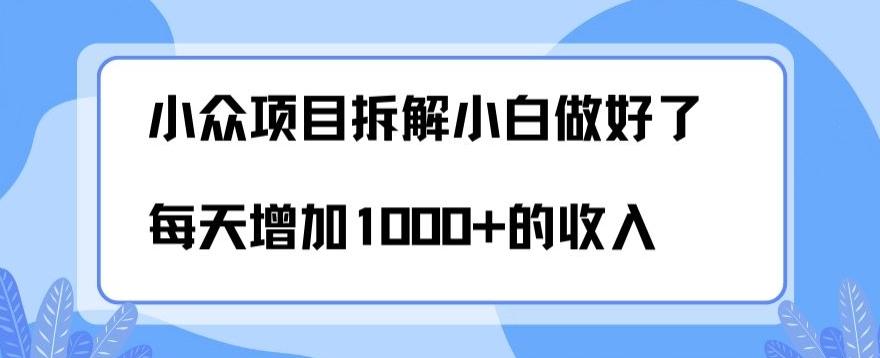 小众项目拆解，小白做好了每天可增加1000多的收入-KF云创