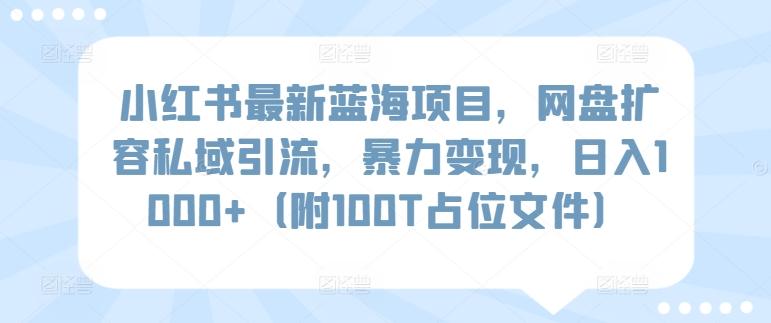 小红书最新蓝海项目，网盘扩容私域引流，暴力变现，日入1000+(附100T占位文件)【揭秘】-KF云创