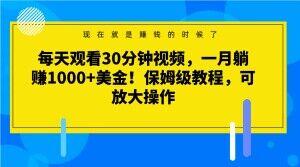 每天观看30分钟视频，一月躺赚1000+美金！保姆级教程，可放大操作【揭秘】-KF云创