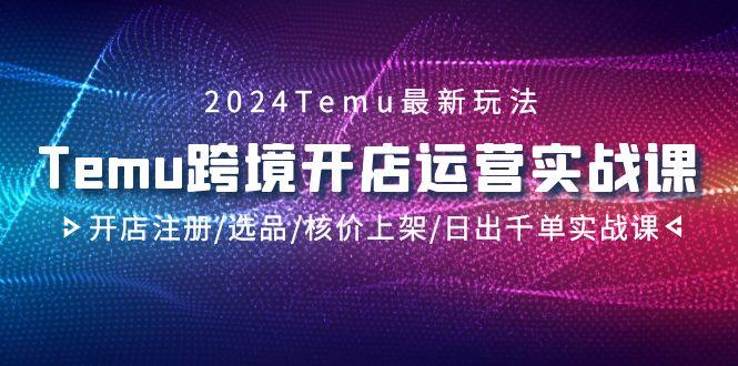2024Temu跨境开店运营实战课，开店注册/选品/核价上架/日出千单实战课-KF云创