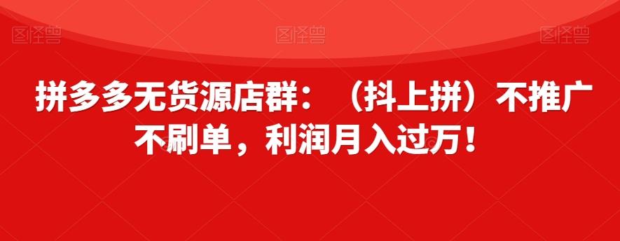 拼多多无货源店群：（抖上拼）不推广不刷单，利润月入过万！【揭秘】-KF云创