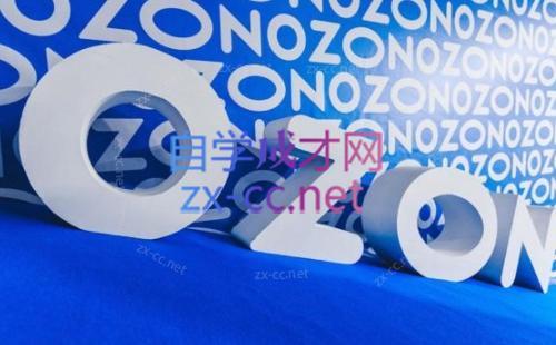 森哥·出海俄罗斯电商实操(2024)-KF云创