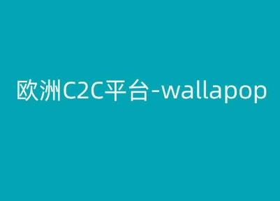 欧洲C2C平台-wallapop-kim跨境电商教程-KF云创