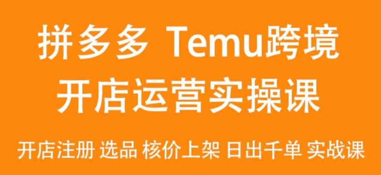 2024Temu最新玩法，Temu跨境开店运营实操课，开店注册/选品/核价上架/日出千单实战课-KF云创