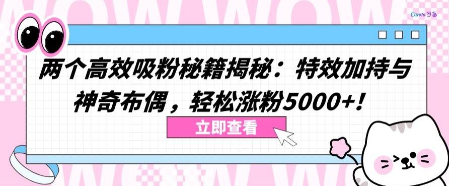 两个高效吸粉秘籍揭秘：特效加持与神奇布偶，轻松涨粉5000+【揭秘】-KF云创