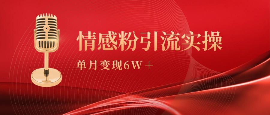 (9473期)单月变现6w+，情感粉引流变现实操课-KF云创