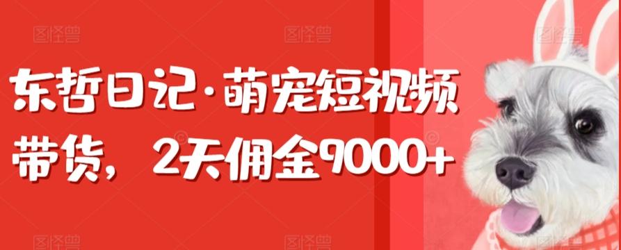 东哲日记·萌宠短视频带货，2天佣金9000+-KF云创