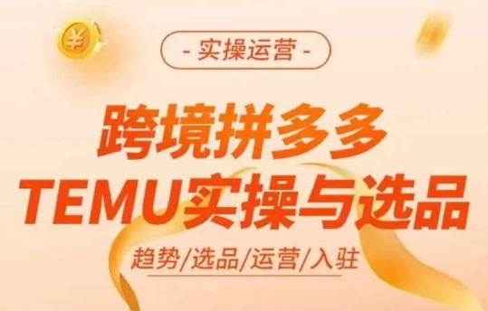 跨境拼多多TEMU实操与选品，多多temu跨境选品运营实操-KF云创