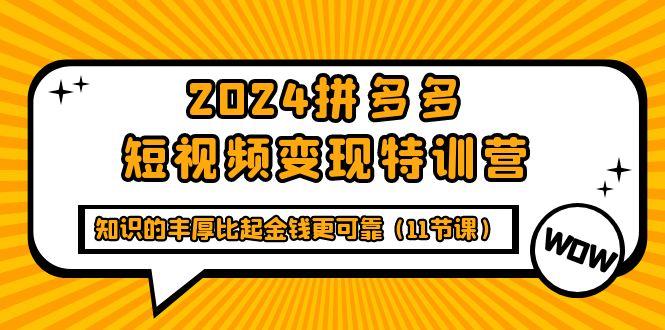 (9817期)2024拼多多短视频变现特训营，知识的丰厚比起金钱更可靠(11节课)-KF云创