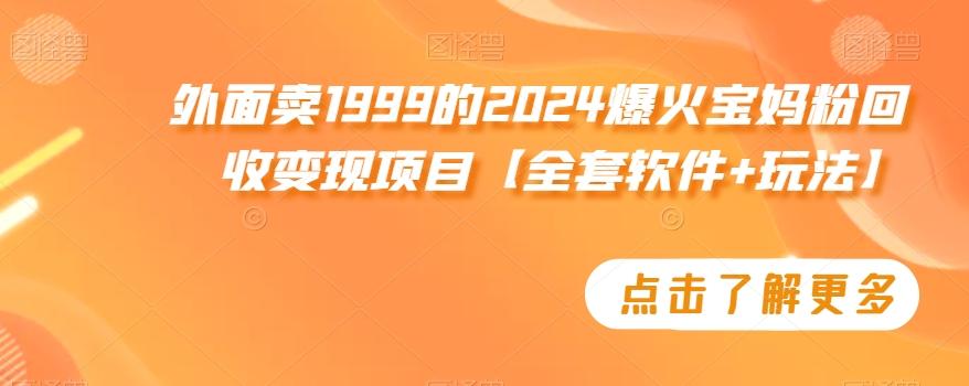 外面卖1999的2024爆火宝妈粉回收变现项目【全套软件+玩法】【揭秘】-KF云创
