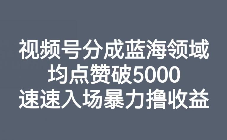 视频号分成蓝海领域，均点赞破5000，速速入场暴力撸收益-KF云创